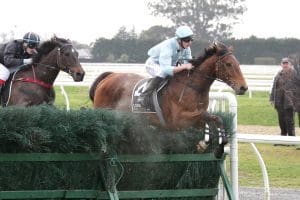 West Coast takes first day jumping honours at Riccarton