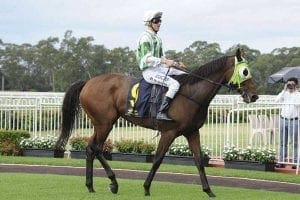 Blake Shinn and War Jet