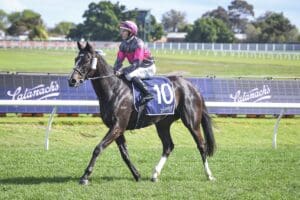 Wishlor Lass gets off the canvas to claim Ladies Day Vase