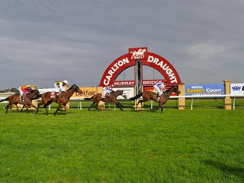 Murray Bridge racecourse is located in South Australia