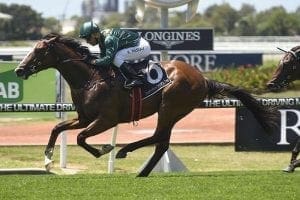 Pariah wins Canonbury Stakes