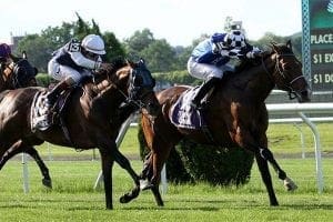 Red Cardinal racehorse