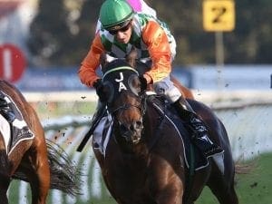 Sons Of John primed for G1 Epsom Handicap