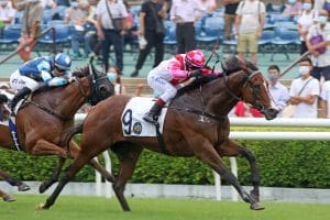 Hayes chases back-to-back HKSAR Chief Executive’s Cups