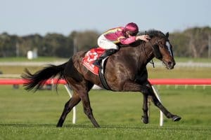 Gentleman Roy leads throughout in Sandown Stakes victory