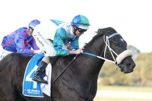 I Wish I Win shows Group 1 quality in Testa Rossa Stakes victory