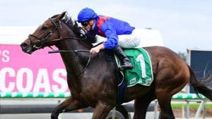 Zaaki looking 'fantastic' ahead of Tramway Stakes at Randwick