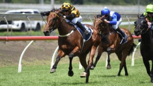 About Time too good for rivals in Sir Patrick Hogan Stakes