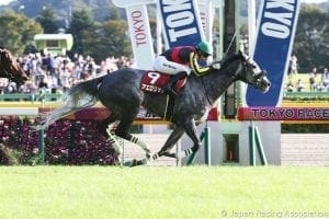 Japan Racing News: Grade 1 Mile Championship preview