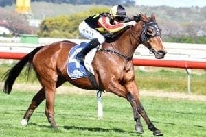 Bittersweet day for young rider at Wanganui