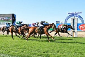 Bairnsdale betting tips, quaddie picks & value bets | 15/11/2021