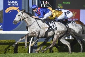 Benaud breaks through in Wyong Gold Cup