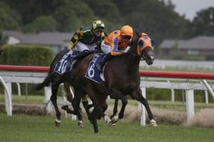 Rich Hill Mile quinella caps Te Akau gold rush