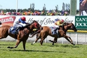 NZ mare to make Aussie debut at Caulfield