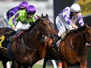 Global Glamour ready for Caulfield return