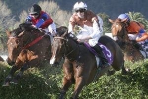 Rugged stayer gets deserved big race victory at Te Aroha