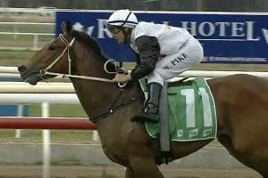 Cholante wins at Wyong