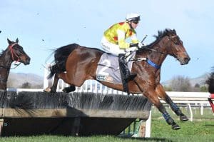 Country Bumpkin runs rivals ragged at Hawera