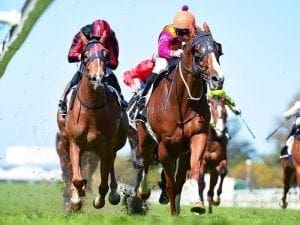 Dreams Aplenty to back up at Doomben