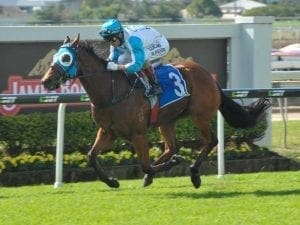 Straturbo trials well for comeback