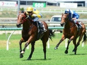 Old association wins again at Doomben