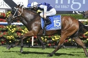 Group One-winning filly OK for race return