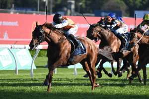 Ellsberg continues impressive form with Five Diamonds Prelude win