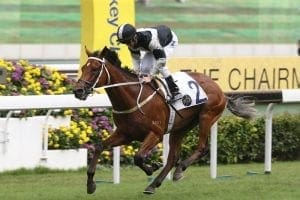 Exultant on the road to adulation in Sunday’s Jockey Club Cup