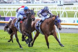 Four Queens heads home Rae quinella at Riccarton