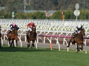 Almandin wows Oliver in Flemington victory