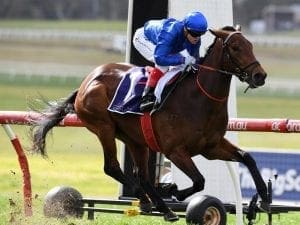 Stakes race debut for unbeaten Esperance