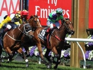 Nichols' Star on song for Let's Elope