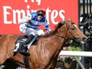 Redkirk Warrior presses claims for Everest