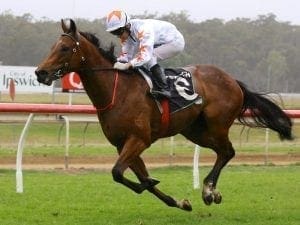 Qld spring hopes to trial at Cranbourne