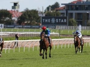 NZ mares have first look of Moonee Valley