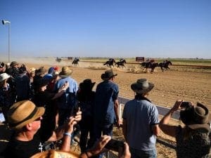 Birdsville