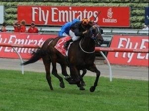 VRC keen for a local win in Melbourne Cup