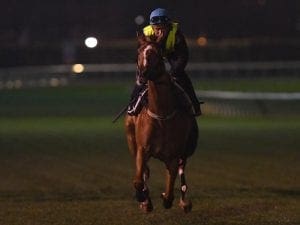 Finche gets look at Caulfield ahead of Cup