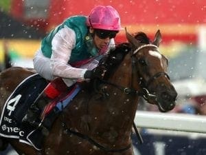 Enable to take on Crystal Ocean at Kempton