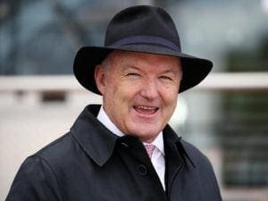 David Hayes eyeing expanded Sydney stable