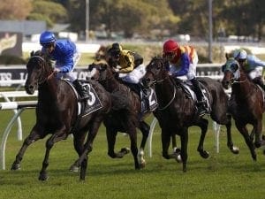 Manikato Stakes next aim for Kementari