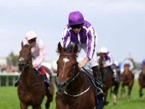 Kew Gardens wins St Leger at Doncaster