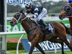 Carzoff penalised for Group 1 Metropolitan