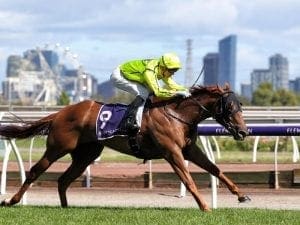 Gold Coast or Flemington for Mr Money Bags