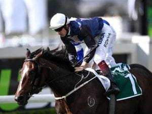 Salsonic zeroes in on Villiers Stakes