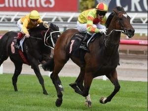 Multiple G1 winner Lankan Rupee retired