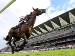 Order Of St George retired to stud