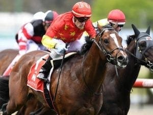 Big names to gallop at Moonee Valley