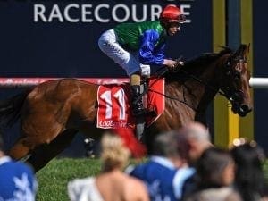 Bonneval to make return at Moonee Valley