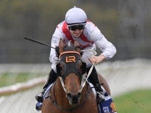 Golden chance for Lees in Group One Rose